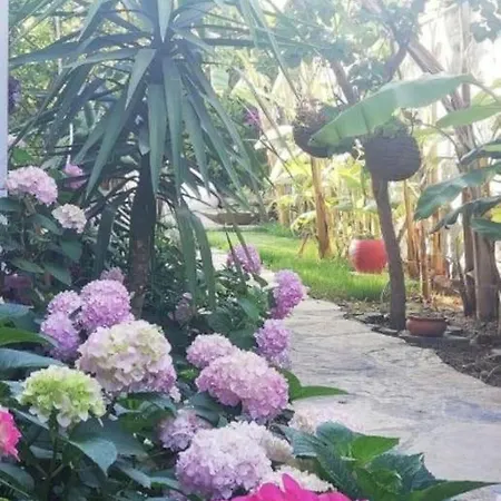 Memories Gümüşlük'te özel Havuzlu Bodrum