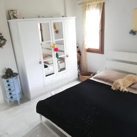 Vilă Memories Guemuesluek'te Oezel Havuzlu Bodrum
